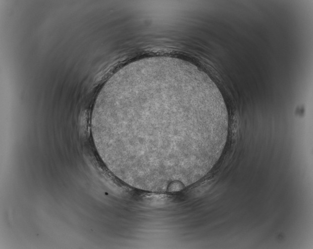 X0000114670428200911181211