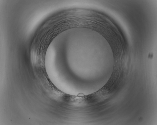 X0000114670431200911181211