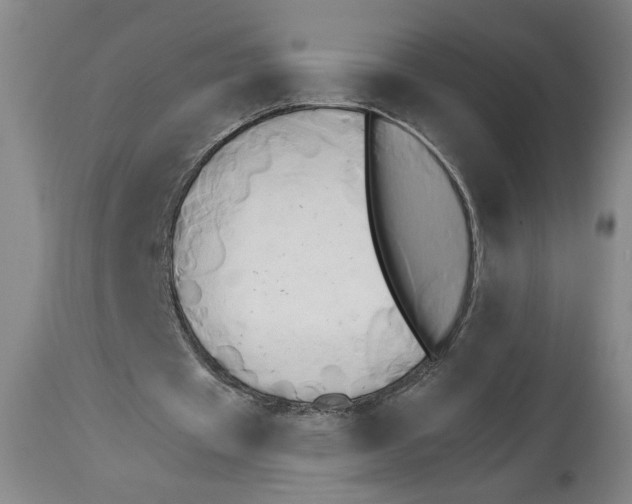 X0000114670433200911181211