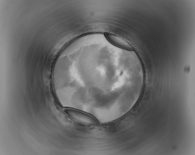 X0000114670434200911181211