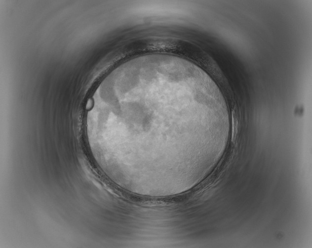 X0000114670435200911181211