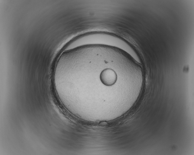 X0000114670436200911181211