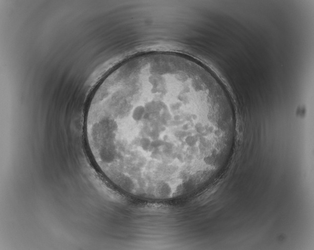 X0000114670437200911181211