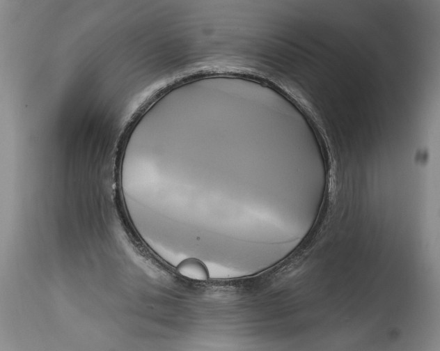 X0000114670438200911181211