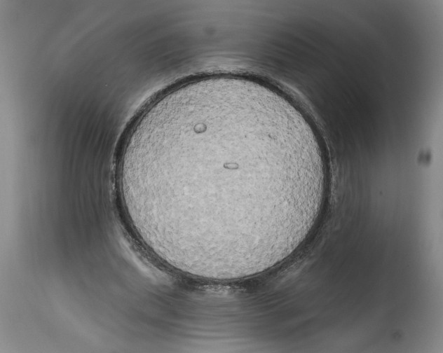 X0000114670439200911181211