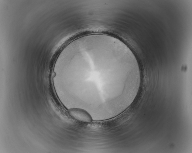 X0000114670440200911181211