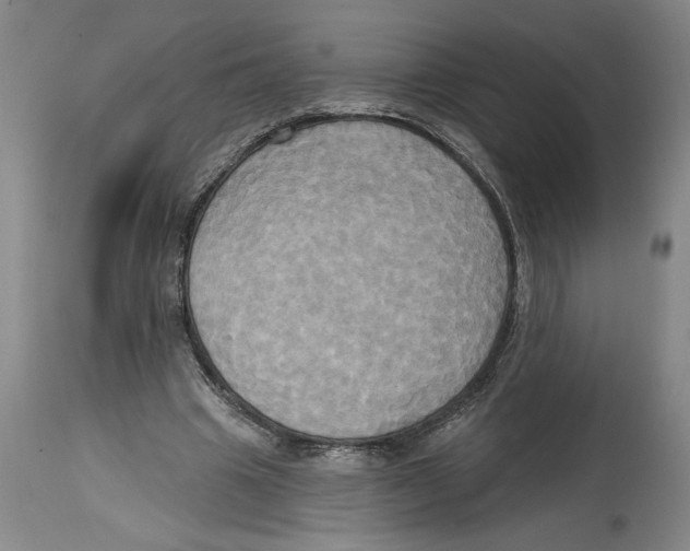 X0000114670441200911181211