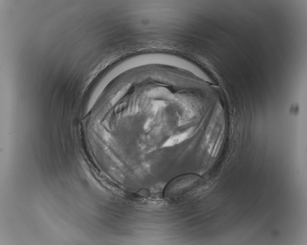 X0000114670443200911181211