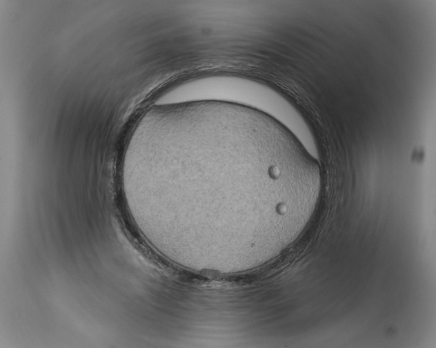 X0000114670444200911181211