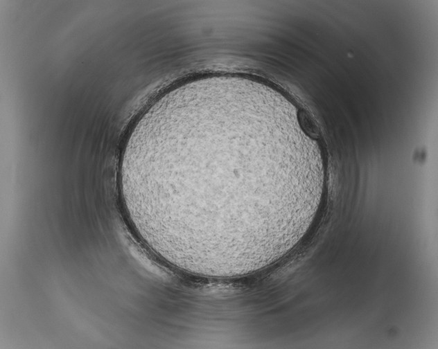 X0000114670445200911181211