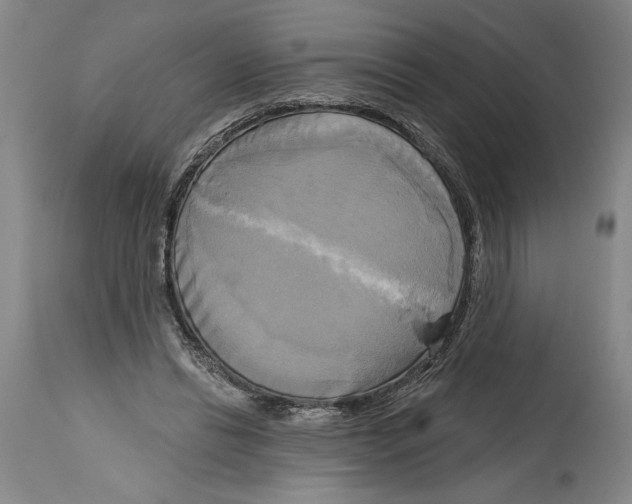 X0000114670446200911181211