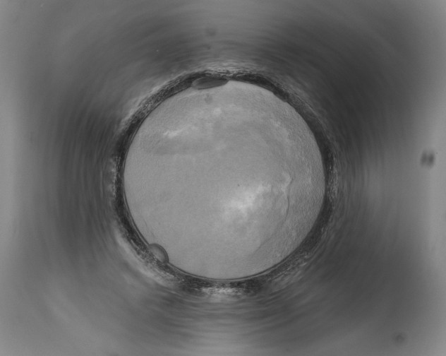 X0000114670448200911181211