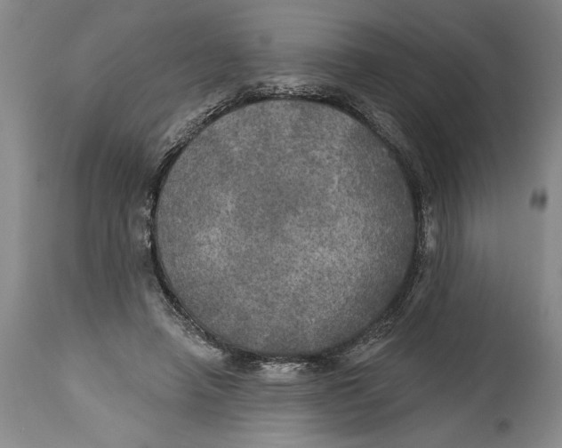 X0000114670450200911181211