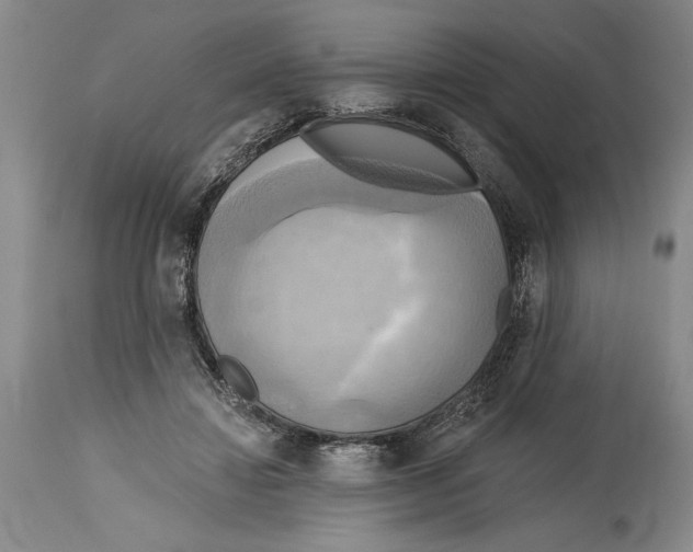 X0000114670452200911181211