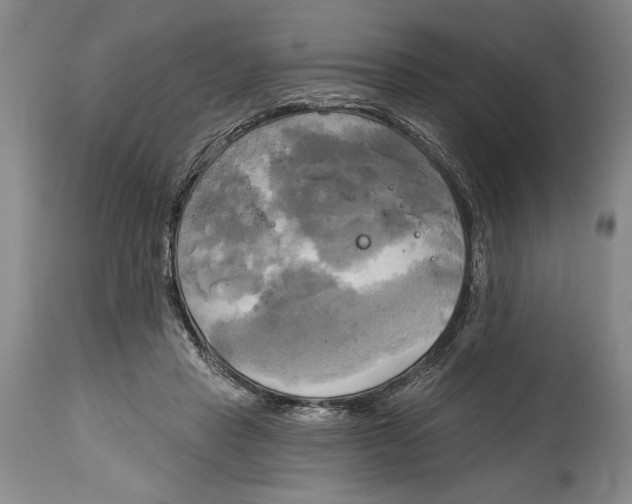 X0000114670453200911181211