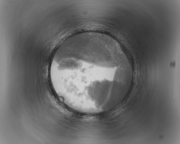 X0000114670454200911181211