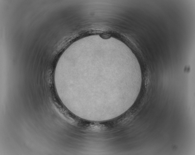 X0000114670455200911181211