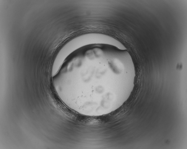 X0000114670456200911181211