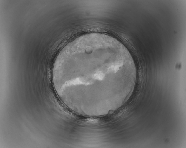 X0000114670457200911181211