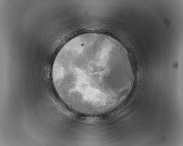 X0000114670458200911181211