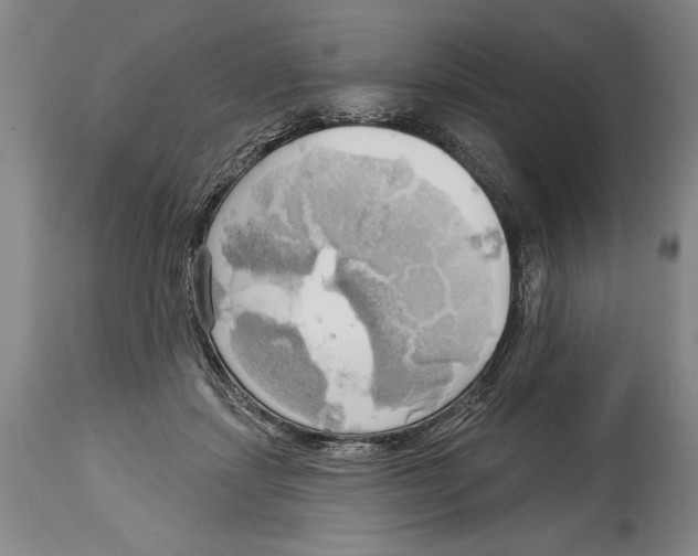 X0000114670459200911181211