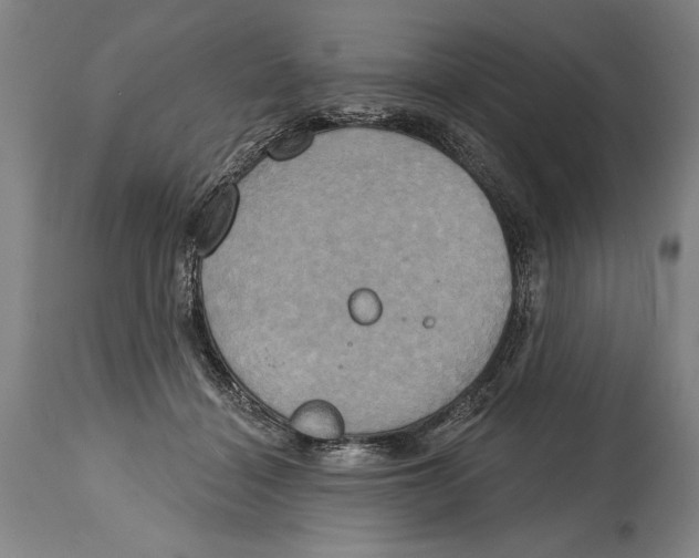 X0000114670460200911181211