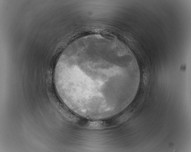 X0000114670461200911181211