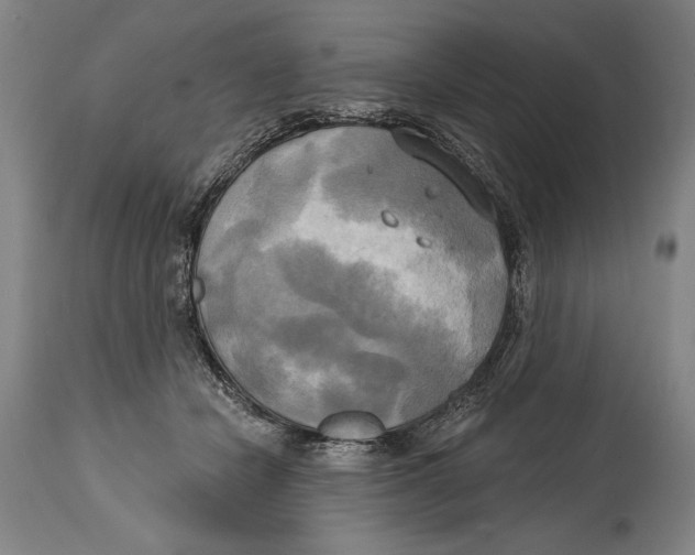 X0000114670462200911181211