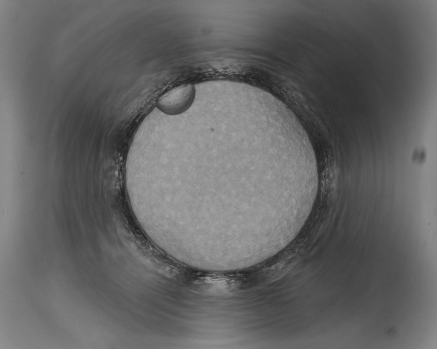 X0000114670464200911181211