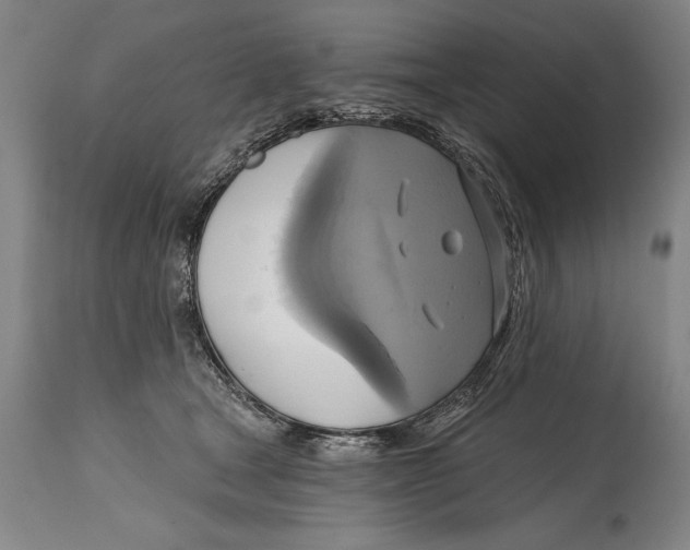 X0000114670465200911181211