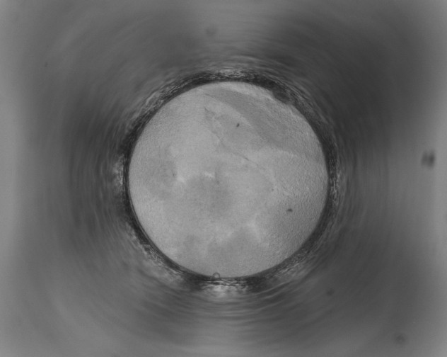 X0000114670466200911181211