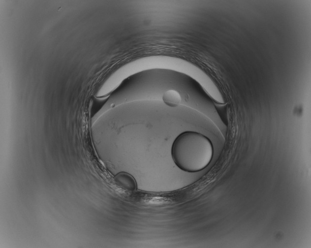 X0000114670467200911181211