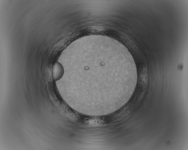 X0000114670468200911181211