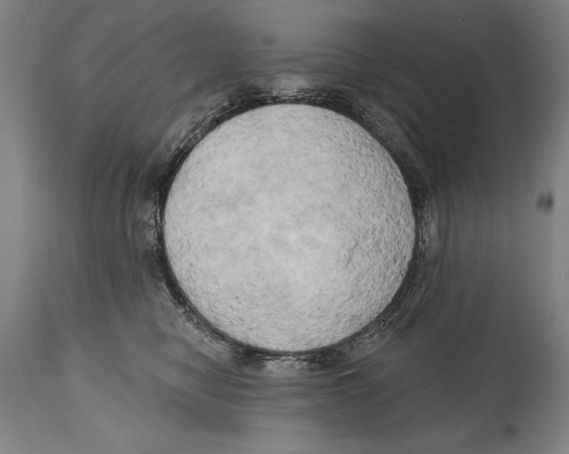 X0000114670470200911181211