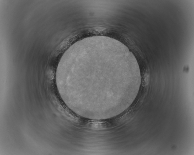 X0000114670472200911181211