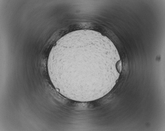 X0000114670473200911181211