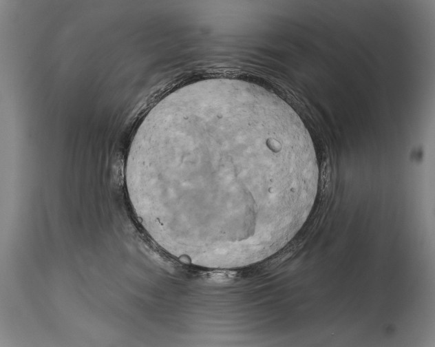 X0000114670474200911181211