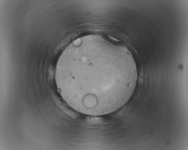 X0000114670476200911181211