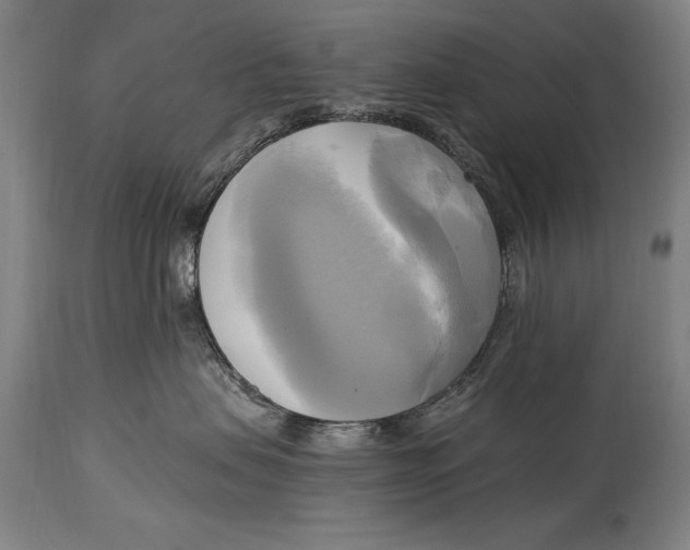 X0000114670479200911181211