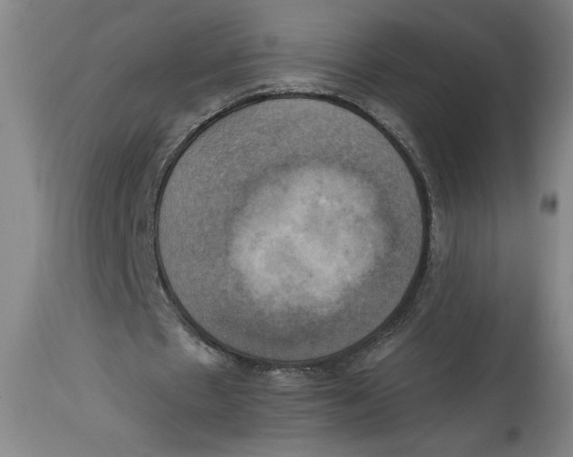 X0000114670481200911181210