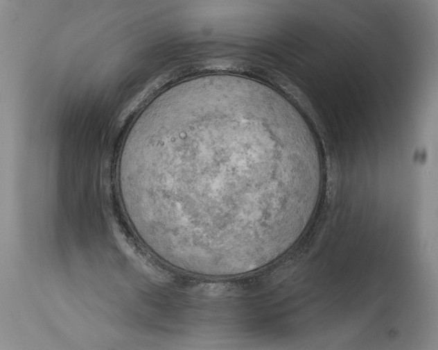 X0000114670482200911181210