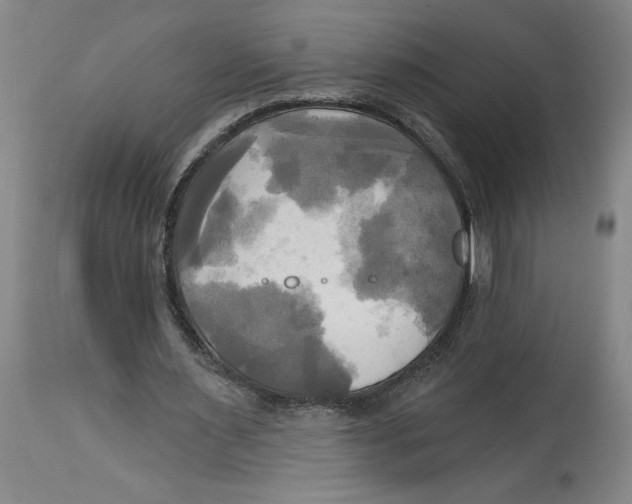 X0000114670483200911181210