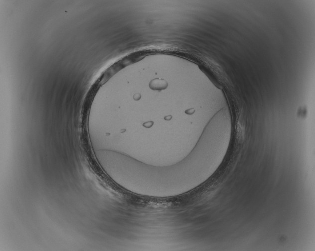 X0000114670484200911181210