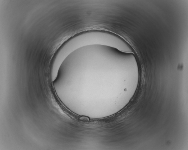 X0000114670485200911181210