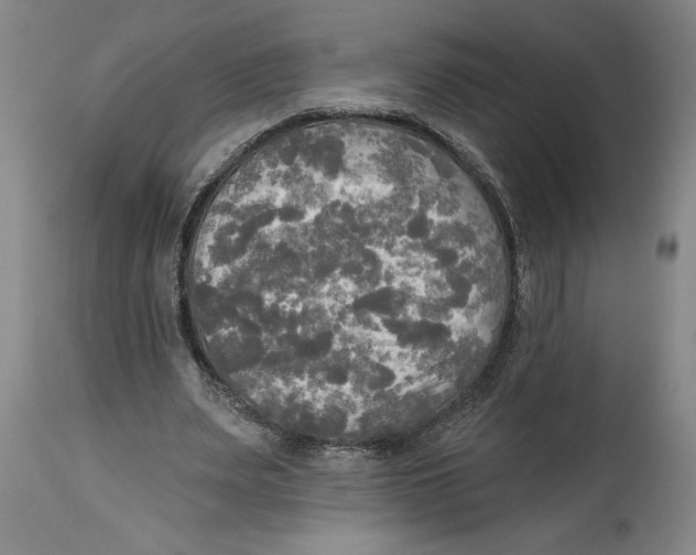 X0000114670487200911181210