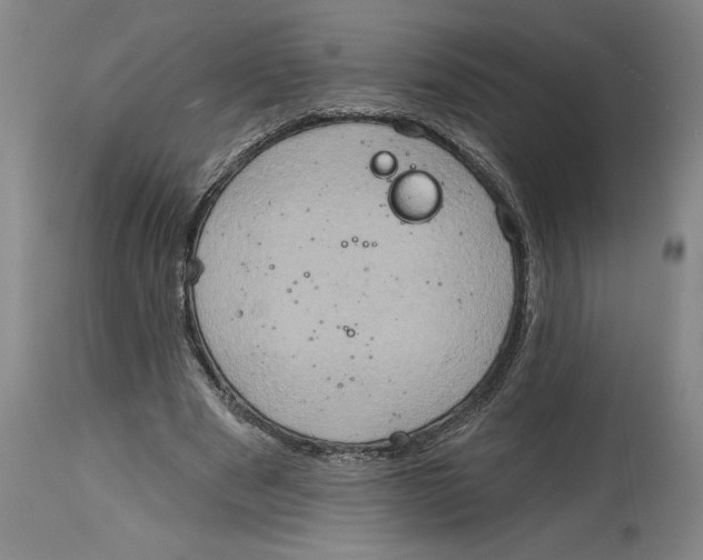 X0000114670489200911181210