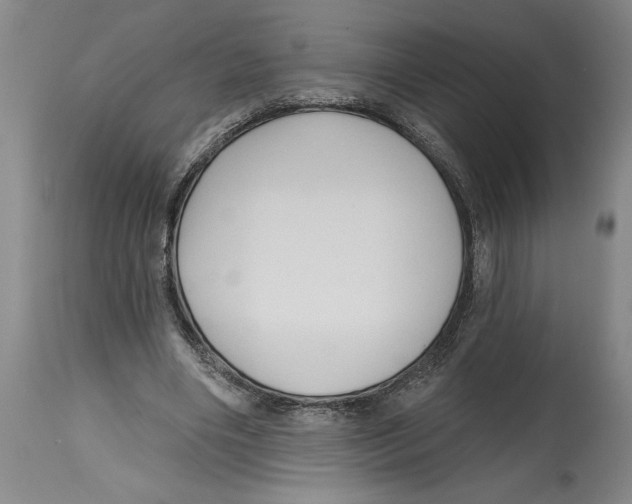 X0000114670490200911181210