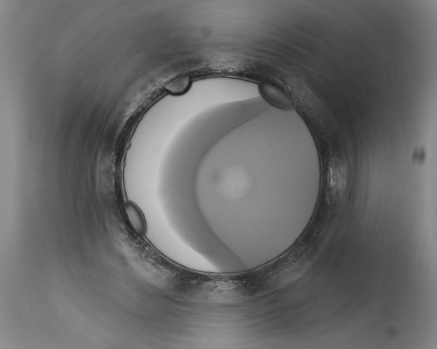 X0000114670492200911181210