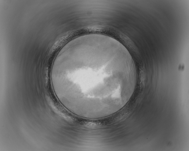 X0000114670494200911181210