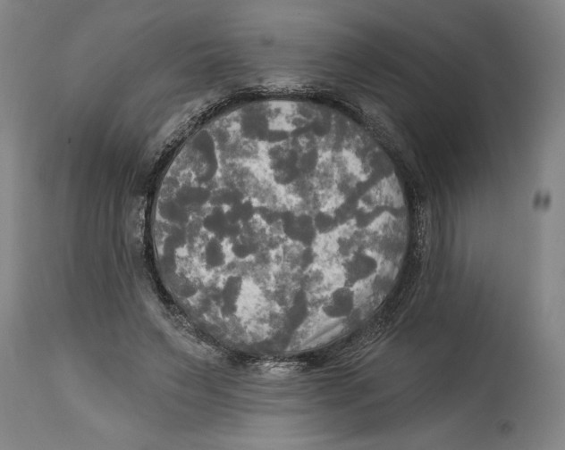 X0000114670495200911181210